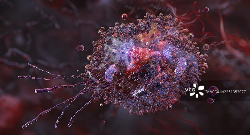 巨噬细胞白细胞，插画图片素材