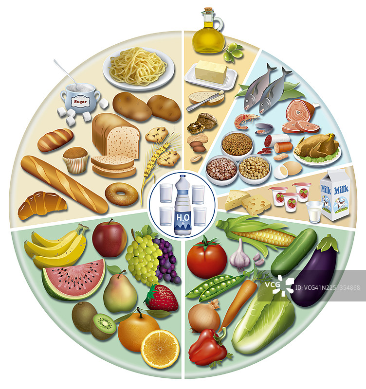 均衡营养食物轮，插画图片素材