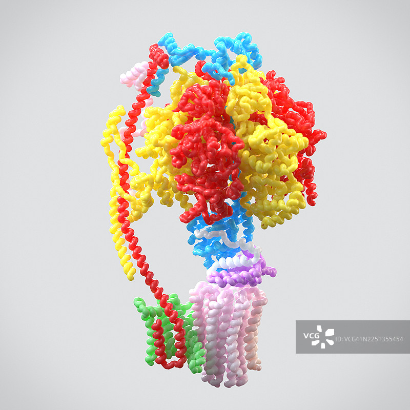 三磷酸腺苷分子模型，插画图片素材