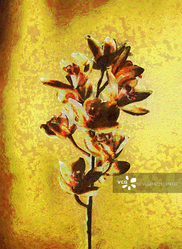 水彩画的笔触效果，画布上的兰花枝条绘画。图片素材