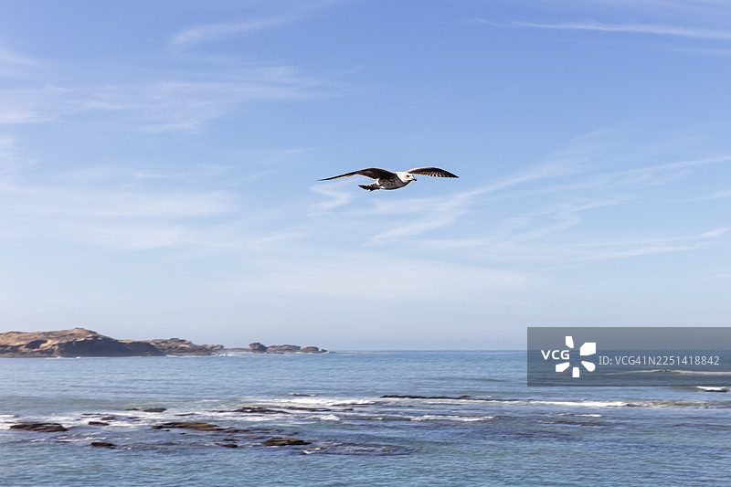 海鸥在高空飞翔，海面平静，天空湛蓝，微风轻拂图片素材