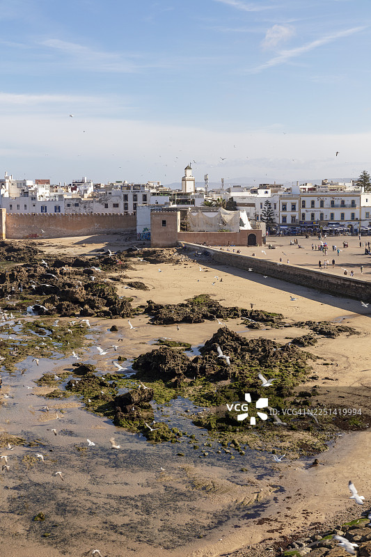 晴朗天空下，海滨城市墙、沙滩和飞翔的海鸥景观图片素材