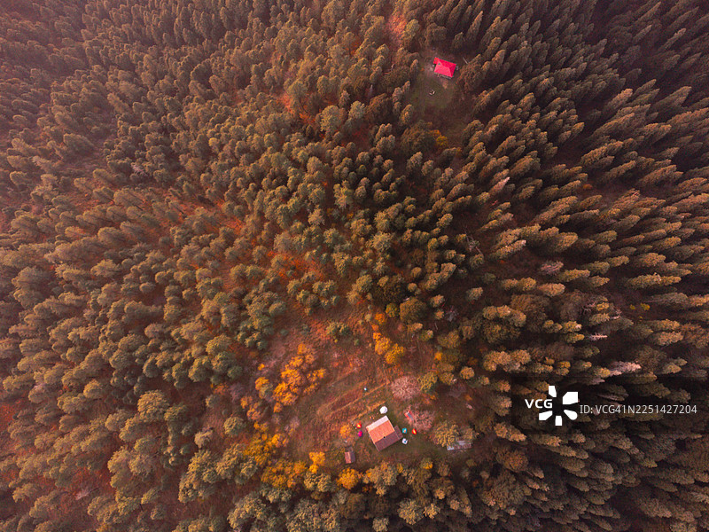 金色时段航拍的郁郁葱葱的绿色森林，点缀着几间小屋，展示了自然之美与宁静，巴基斯坦图片素材