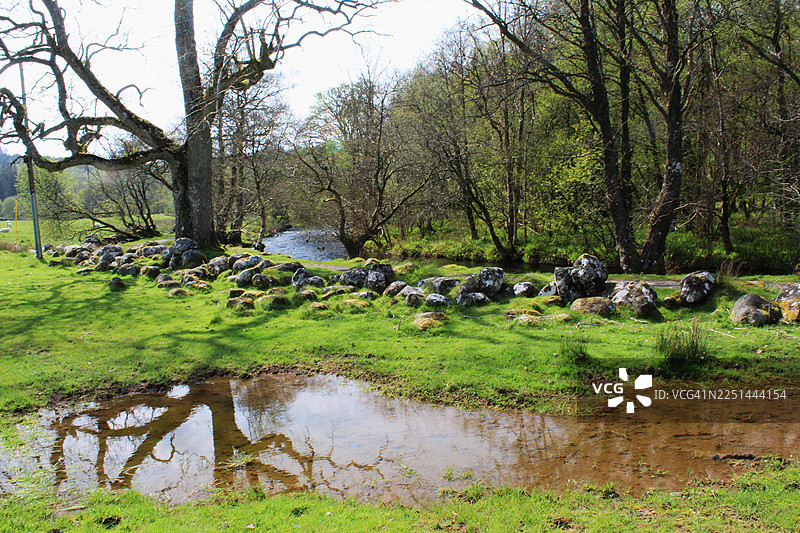 宁静的风景，一条蜿蜒的溪流穿过郁郁葱葱的绿色森林，古老的树木和长满苔藓的岩石倒映在水中，英国达尔姆灵顿图片素材