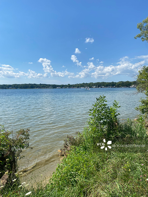 晴朗蓝天下宁静湖泊的风景，湖岸边绿意盎然的植被，美国道瓦贾克图片素材