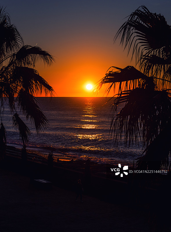 海边棕榈树的剪影，背景是海洋上色彩鲜艳的日落，佐治亚州图片素材