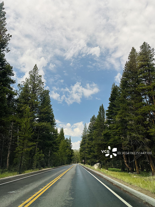 一条笔直的空旷公路延伸穿过一片苍翠繁茂的森林，头顶是蓝天白云。美国，格罗夫兰，蒂奥加路。图片素材