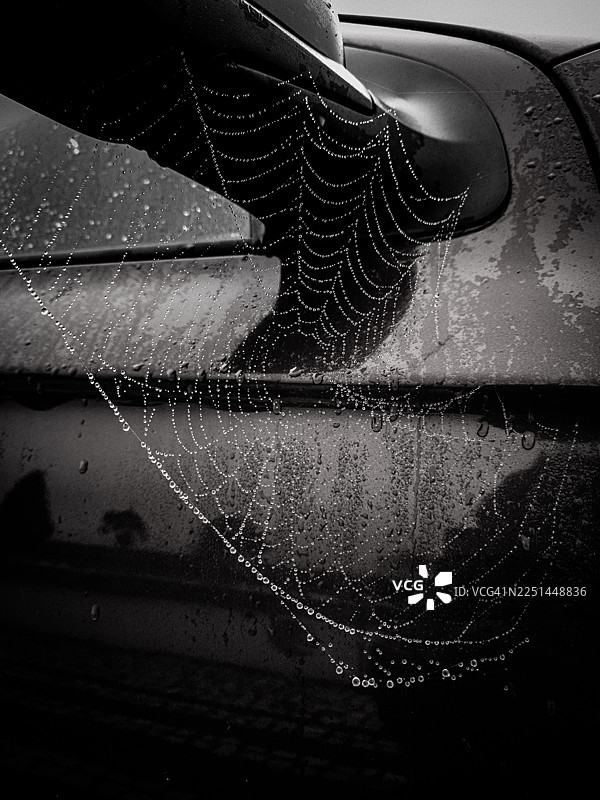 汽车后视镜上覆盖着露珠的蜘蛛网的特写，黑白照片图片素材