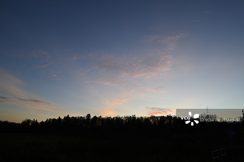 夕阳下树木的剪影，映衬着充满活力的多彩天空，柔和的云彩营造出宁静如画的风景图片素材