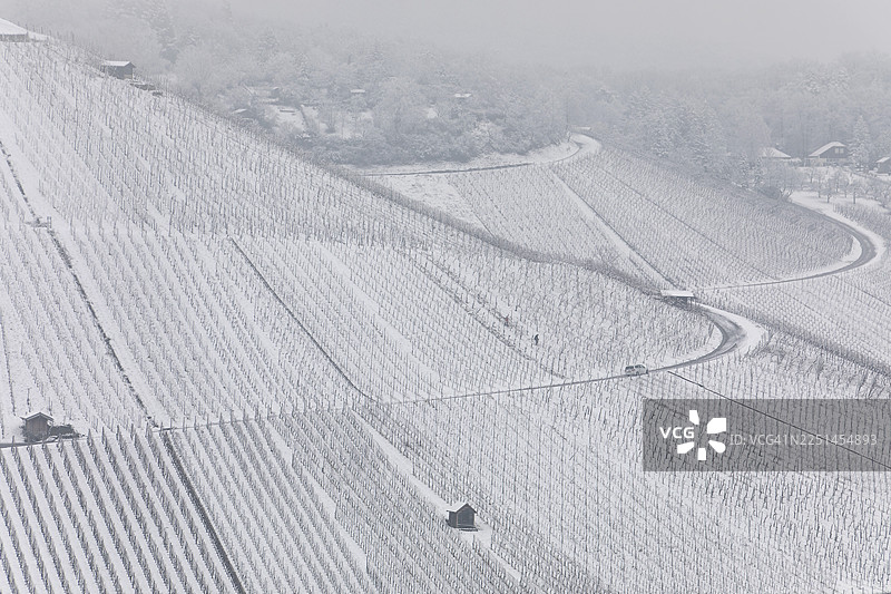 冬季斯图加特地区雪景葡萄园。德国费尔巴哈卡佩尔贝格冬季葡萄园景观。图片素材