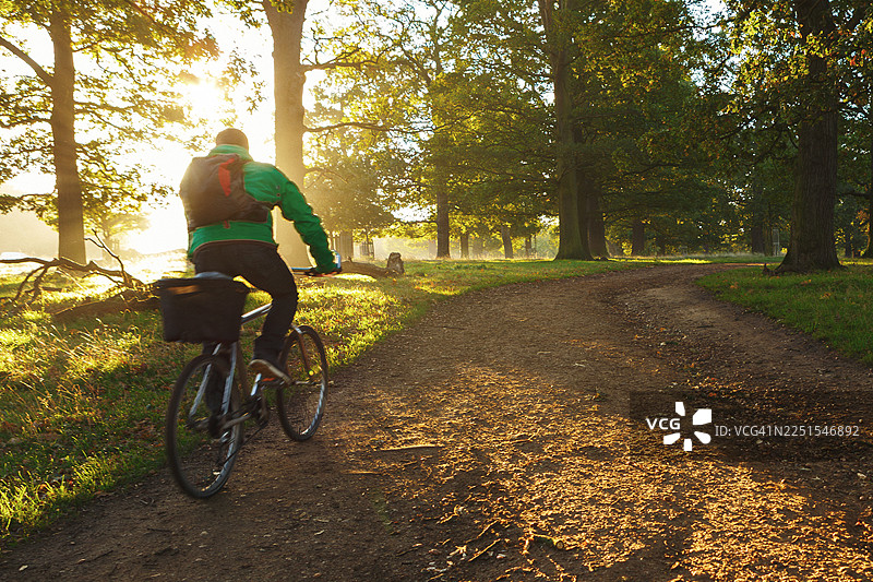 骑行者在黄金时刻的阳光下，逆光骑行在里士满公园的土路上图片素材