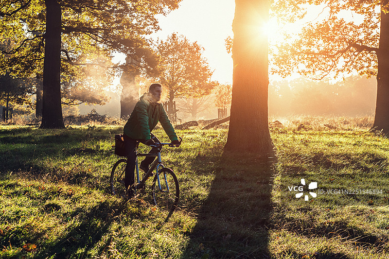 伦敦里士满公园，秋日清晨，金色阳光下的草径骑行图片素材