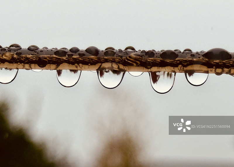 大雨过后，洗衣绳上的水珠特写图片素材