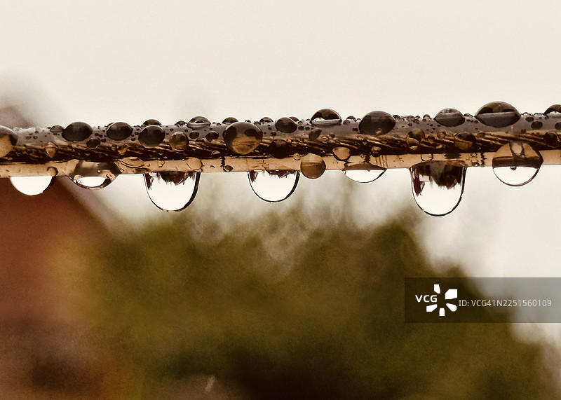 暴雨过后，晾衣绳上挂着水滴，特写镜头图片素材