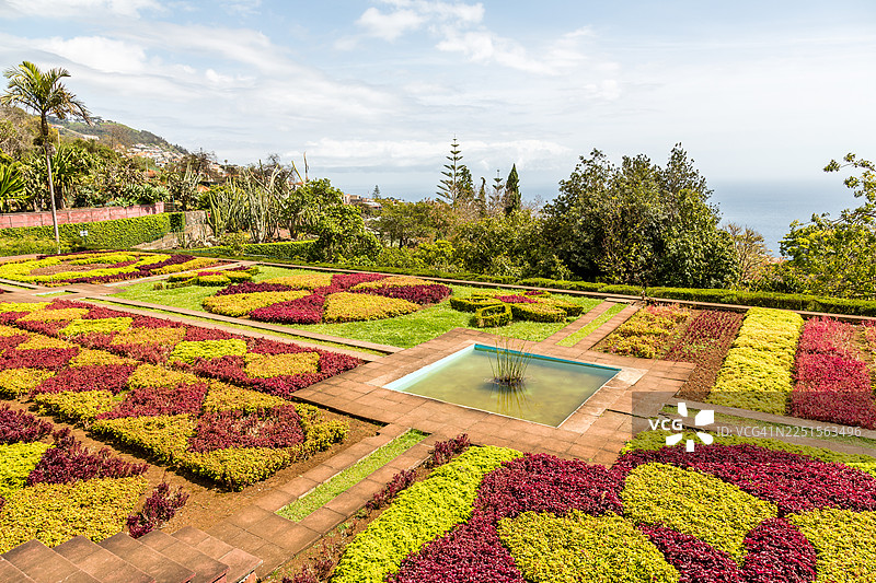 马德拉植物园的花坛图片素材
