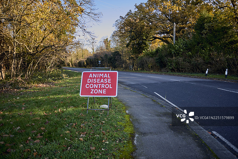 2025年11月30日，英国萨福克郡埃尔弗登——当地近期爆发禽流感（HPAI H5N1）疫情后，路边竖立着一块标示“动物疾病控制区”的牌子。图片素材