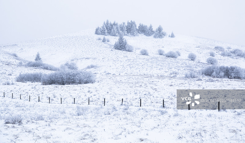 冬季的农田图片素材
