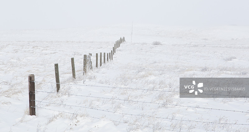 冬季的农田图片素材