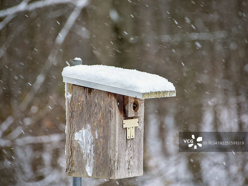 雪中的木制鸟屋图片素材