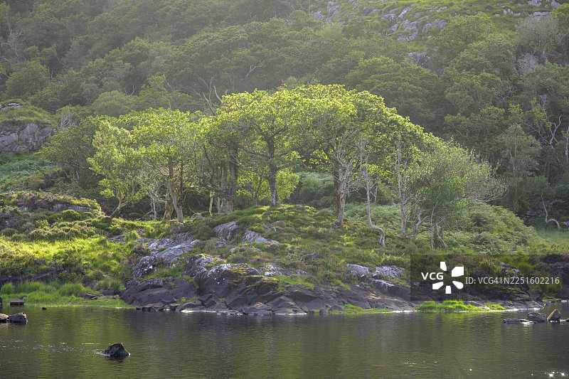 来自基拉尼国家公园下湖的格特拉库萨恩、莫克罗斯、凯里、爱尔兰图片素材