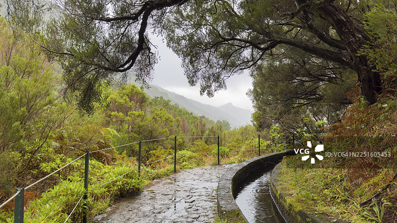 PR6 徒步路线通往 25 泉，沿着水道，25 泉勒瓦达，月桂树林，拉巴萨尔自然保护区，马德拉，葡萄牙图片素材