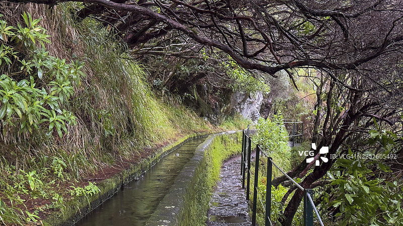 PR6 徒步路线前往 25 泉，沿途有水道，25 泉勒瓦达，月桂树林，拉巴萨尔自然保护区，马德拉，葡萄牙图片素材