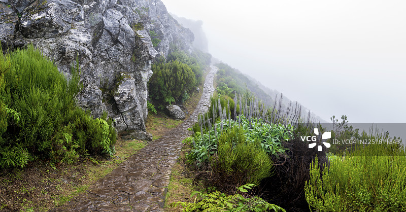 徒步路线 PR 1, 2 前往皮科·鲁伊沃峰，马德拉，葡萄牙，有雾图片素材