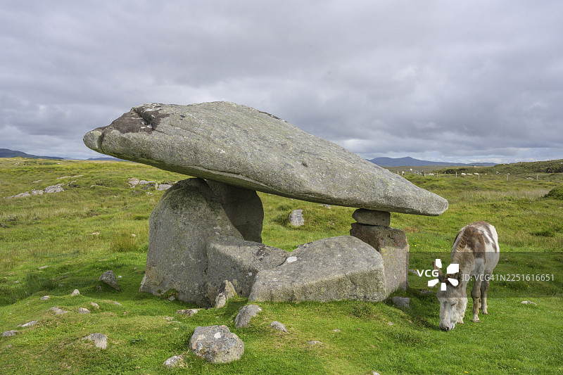 爱尔兰多尼戈尔郡基尔克卢尼的石棚墓旁的驴图片素材