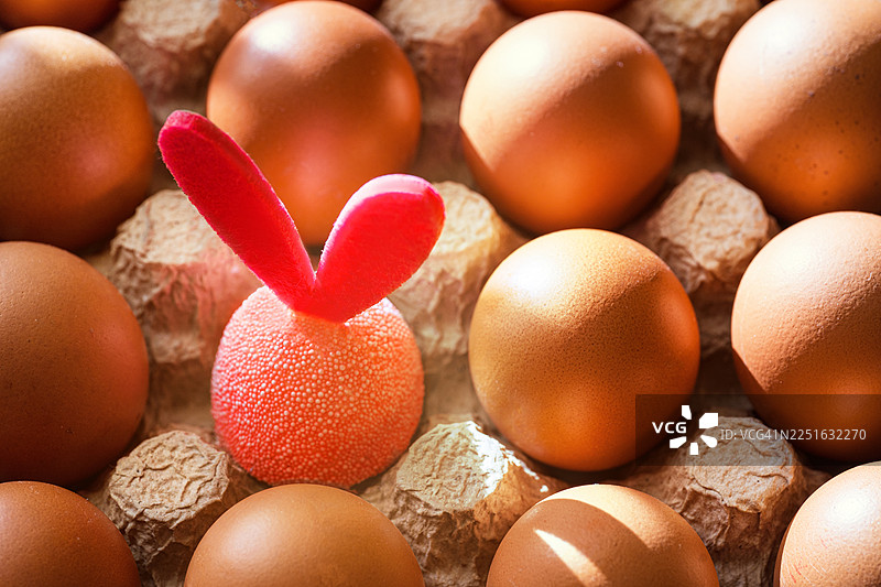 创意复活节设计概念，复活节兔子玩具在棕色彩蛋中。图片素材