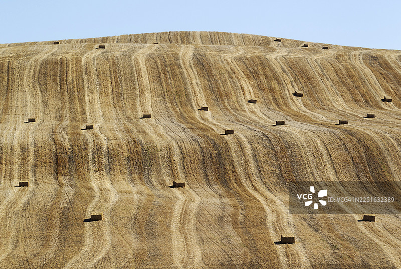 西班牙安达卢西亚科尔多瓦省，小麦收割后玉米地里的草垛和抽象图案图片素材