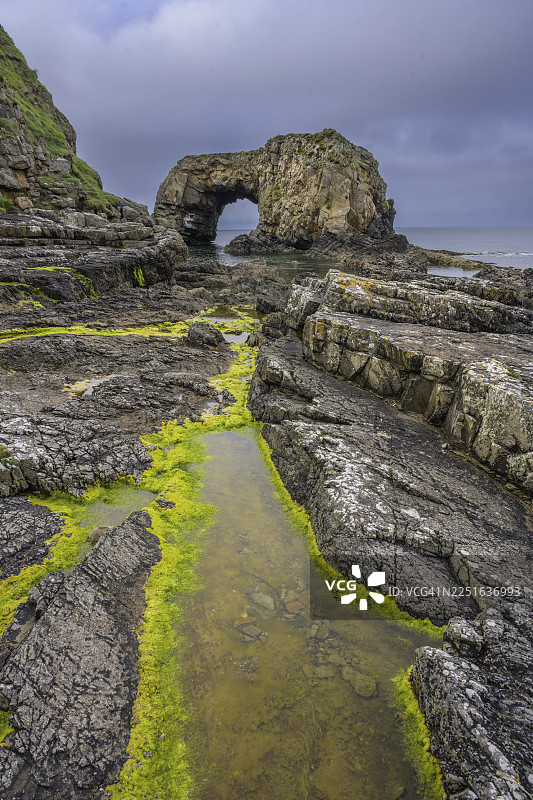爱尔兰多尼戈尔郡法纳德的波拉德海拱潮汐池中的绿藻图片素材