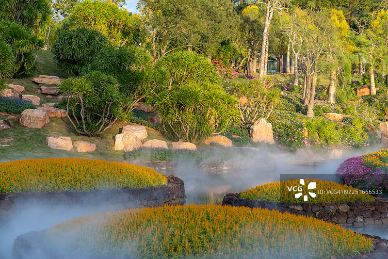 中国广西省南宁市青秀山城市公园的花海图片素材