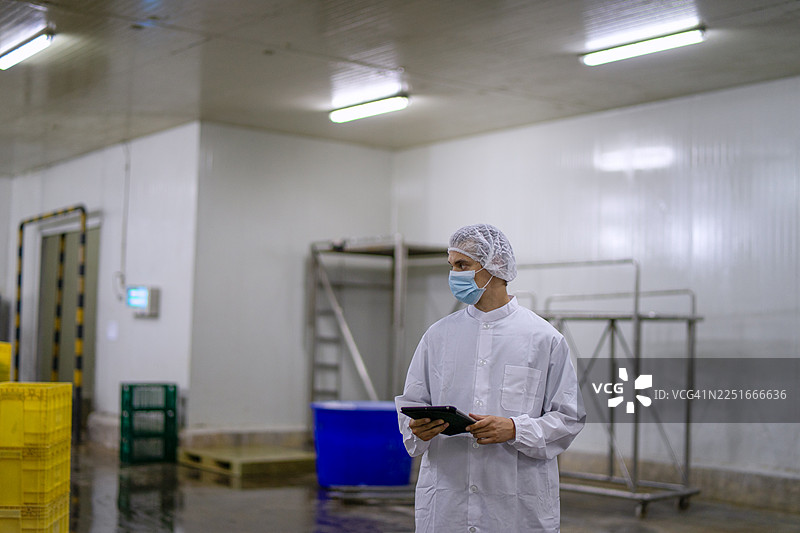 罐头鱼工厂的检验员正在工作。图片素材