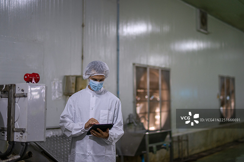 罐头鱼厂的检查员正在工作。图片素材