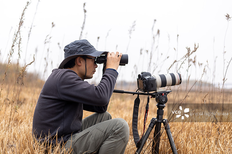 日落时分，观鸟人在芦苇丛中观察鸟类图片素材