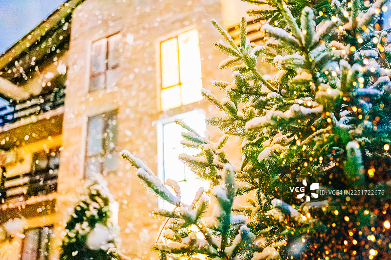 下雪的冬天，房屋被照亮，圣诞树被装饰图片素材