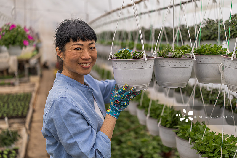 一位笑容满面的园艺师正在温室里打理植物。图片素材