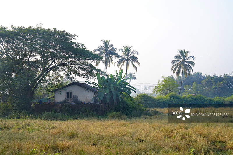 印度南果阿邦卡维洛辛村的清晨景象。图片素材