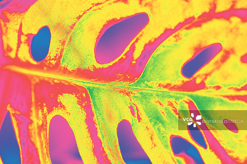 充满活力的抽象叶子图案，采用霓虹色彩、粗犷纹理和孔洞，特写镜头，适合创意设计、艺术展示和多彩图像图片素材