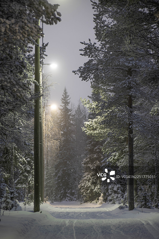 芬兰拉普兰的 Yllas 滑雪度假村附近，冬日雪林中的灯光小径图片素材