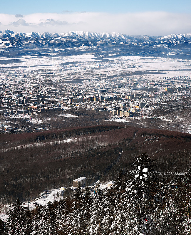 从山顶俯瞰山谷中的冷杉林和城市。图片素材
