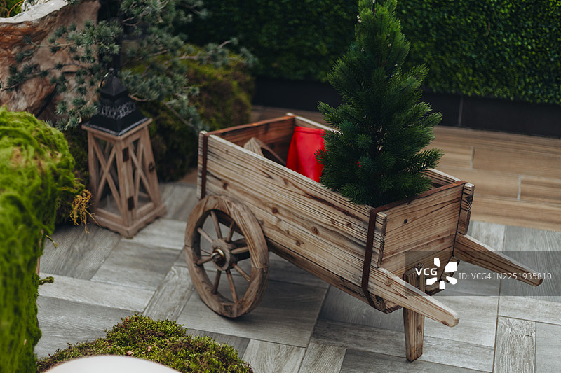 灰色瓷砖地板上的一个小型木制手推车花盆，里面种着一棵迷你常绿树，背景为花园。图片素材