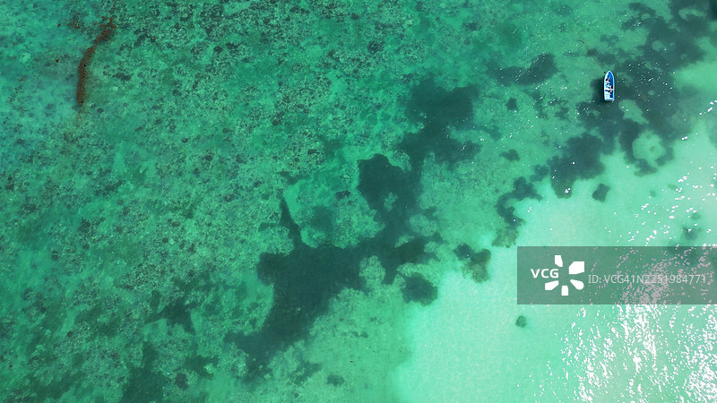 俯视视角拍摄的坦桑尼亚桑给巴尔岛水晶般清澈的海水，呈现出迷人的绿色调图片素材