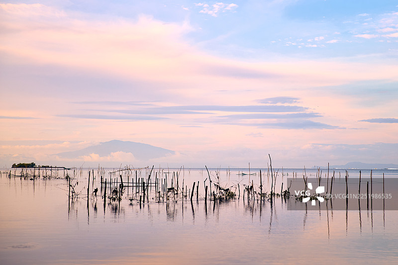 菲律宾八打雁省卡拉塔甘平静的水域，点缀着用于鱼类养殖的竹竿。图片素材