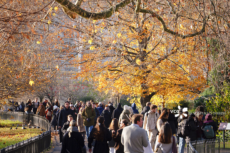 伦敦圣詹姆斯公园，人群在阳光明媚的冬日里享受户外时光图片素材