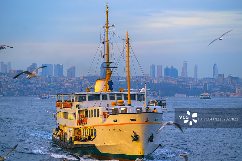 海鸥飞翔，伊斯坦布尔渡轮正在博斯普鲁斯海峡上航行图片素材