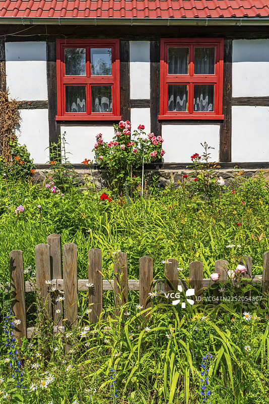 位于德国梅克伦堡-前波美拉尼亚州梅克伦堡湖区菲尔德贝格湖区卡尔维茨的带花园盛开的农舍图片素材