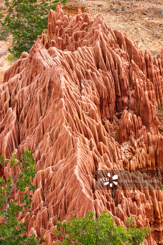 马达加斯加迪亚纳大区，红尖塔石林。图片素材