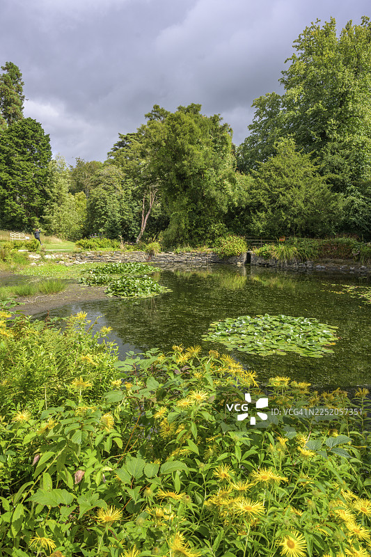 池塘，国家植物园，基尔马库拉格，邓根斯敦，威克洛郡，爱尔兰图片素材