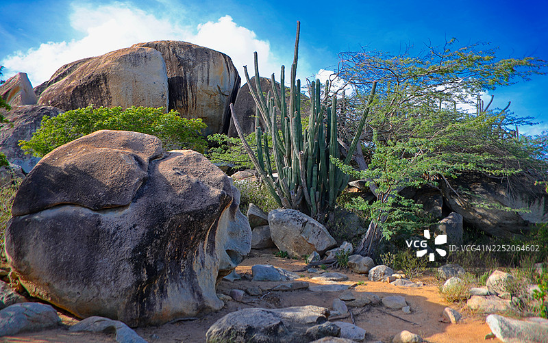 灰岩巨石岩层与仙人掌图片素材